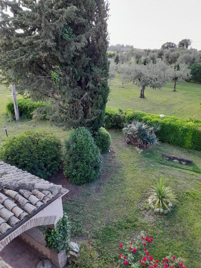 Bed and Breakfast Casale La Civetta à Larino Extérieur photo