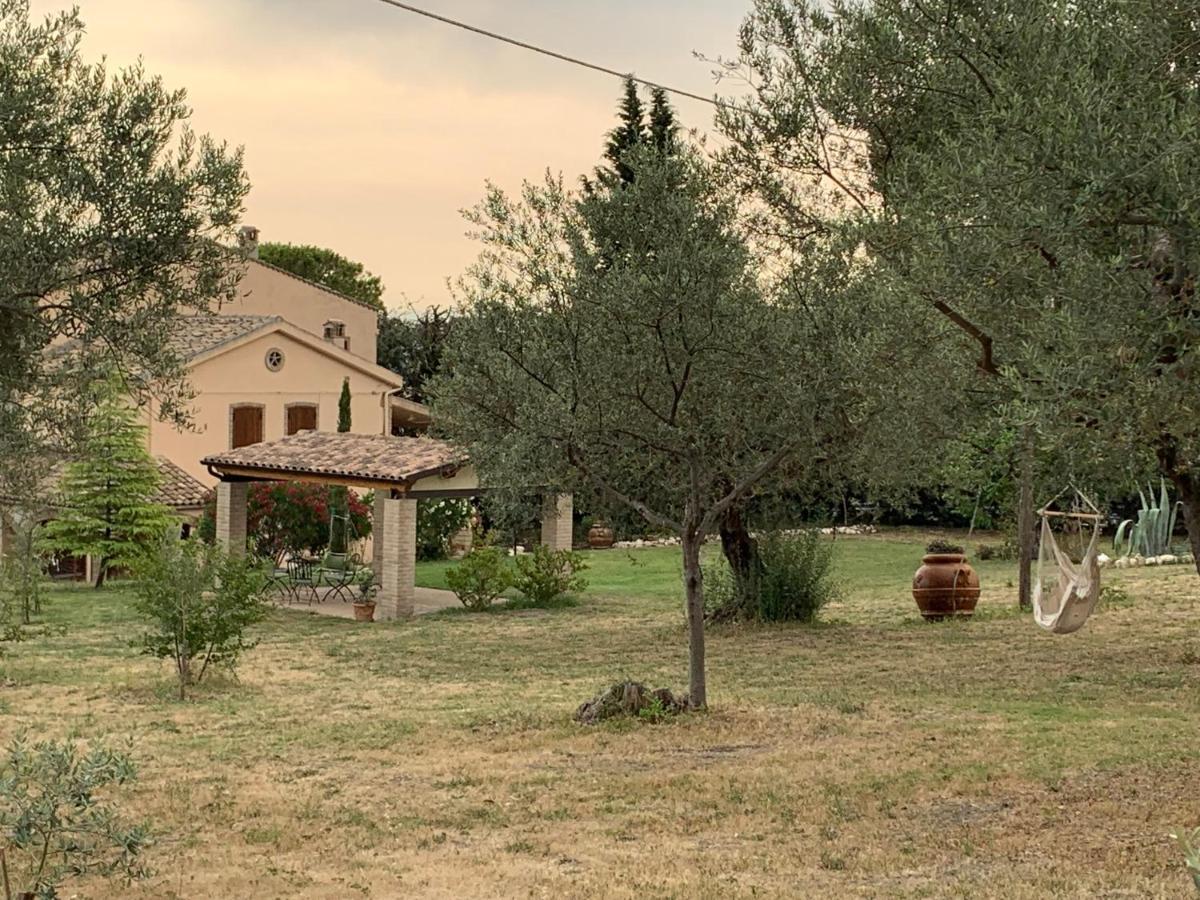 Bed and Breakfast Casale La Civetta à Larino Extérieur photo